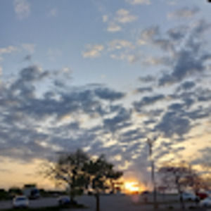 Meet your Posher, Trinity